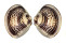 VENERIDAE MERETRIX PETECHIALIS shell