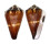 CONIDAE CONUS VEXILLUM shell