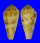 CONIDAE CONUS KINOSHITAI shell