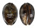 CYPRAEIDAE MAURITIA MACULIFERA ANDREAE shell