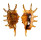 STROMBIDAE LAMBIS SCORPIO shell