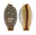 CYPRAEIDAE STAPHYLEA LIMACINA shell