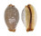 CYPRAEIDAE STAPHYLEA LIMACINA shell