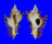 MURICIDAE CHICOREUS BANKSII CROCATUS shell