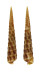 TEREBRIDAE CINGULOTEREBRA NEGLECTA shell