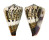 CONIDAE CONUS CAPITANEUS shell