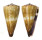CONIDAE CONUS DISTANS shell