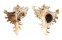 MURICIDAE CHICOREUS RAMOSUS shell