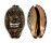 CYPRAEIDAE MAURITIA GRAYANA shell