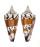 CONIDAE CONUS GENERALIS REGENFUSSI shell
