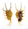 STROMBIDAE LAMBIS SCORPIO shell