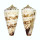 CONIDAE CONUS THALASSIARCHUS shell