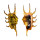 STROMBIDAE LAMBIS SCORPIO shell