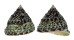 TROCHIDAE TROCHUS MACULATUS shell