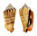 STROMBIDAE STROMBUS LUHUANUS shell