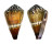 CONIDAE CONUS CAPITANEUS shell