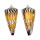 CONIDAE CONUS GENERALIS REGENFUSSI shell