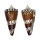CONIDAE CONUS GENERALIS REGENFUSSI shell