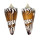 CONIDAE CONUS GENERALIS REGENFUSSI shell