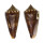 CONIDAE CONUS FURVUS ALBICANS shell