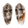 CONIDAE CONUS STERCUSMUSCARUM shell