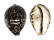 CYPRAEIDAE CYPRAEA TIGRIS shell
