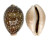 CYPRAEIDAE CYPRAEA VITELLUS shell