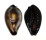 CYPRAEIDAE ERRONEA ONYX shell