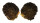 OSTREIDAE ALECTRYONELLA PLICATULA shell