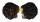 OSTREIDAE ALECTRYONELLA PLICATULA shell