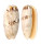 OLIVIDAE OLIVA SERICEA shell