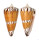 CONIDAE CONUS GENERALIS REGENFUSSI shell