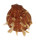 SPONDYLIDAE SPONDYLUS VARIEGATUS shell