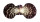 PECTINIDAE GLORIPALLIUM PALLIUM shell