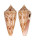 CONIDAE CONUS NEPTUNUS shell