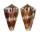 CONIDAE CONUS CAPITANELLUS shell