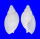 OLIVIDAE ANCILLISTA ALBICANS shell