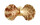 PECTINIDAE CHLAMYS BULLATA shell