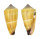 CONIDAE CONUS FURVUS NEOBUXEUS shell