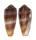 CONIDAE CONUS CIRCUMCISUS shell