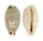 CYPRAEIDAE CYPRAEA QUADRIMACULATA THIELEI shell