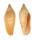VOLUTIDAE AMORIA MOLLERI shell