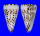 CONIDAE CONUS LITTERATUS shell