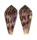 CONIDAE CONUS KINOSHITAI shell