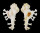 MURICIDAE HOMALOCANTHA cf. PISORI shell