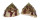 TROCHIDAE TROCHUS VENETUS shell
