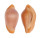 OVULIDAE CRENAVOLVA TIGRIS shell