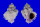 CORALLIOPHILIDAE CORALLIOPHILA BULBIFORMIS shell