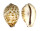 CYPRAEIDAE CYPRAEA TIGRIS shell