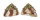 TROCHIDAE TROCHUS VENETUS shell